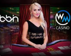 pg赚钱网站手机版